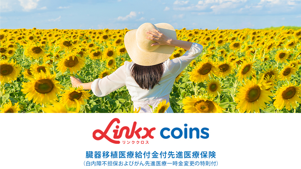 Linkx Coins リンククロス コインズ について リンククロス Linkx