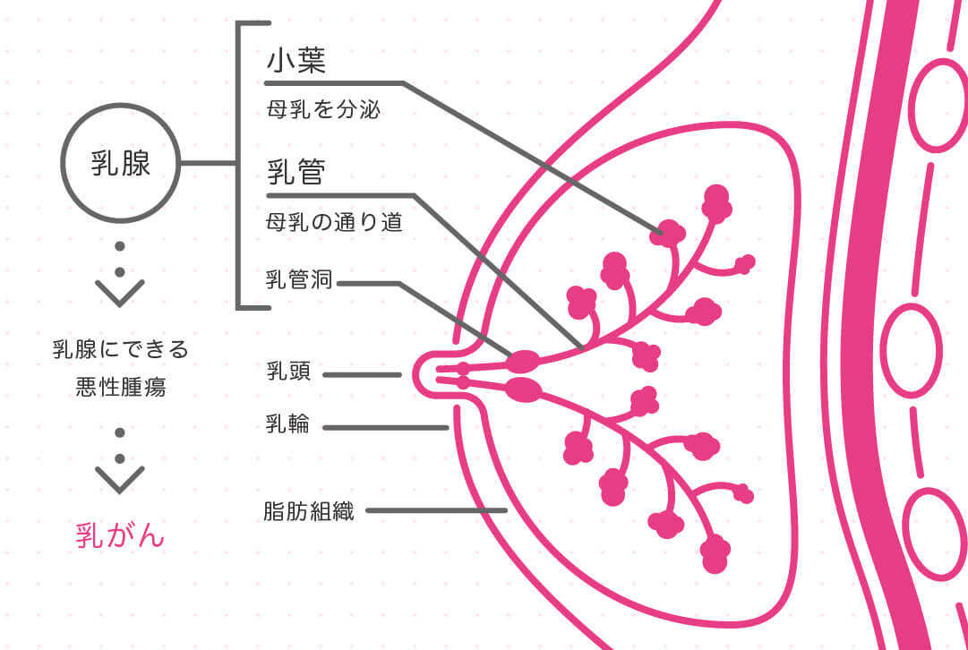 危険因子は何ですか?