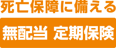 定期保険 商品ロゴ