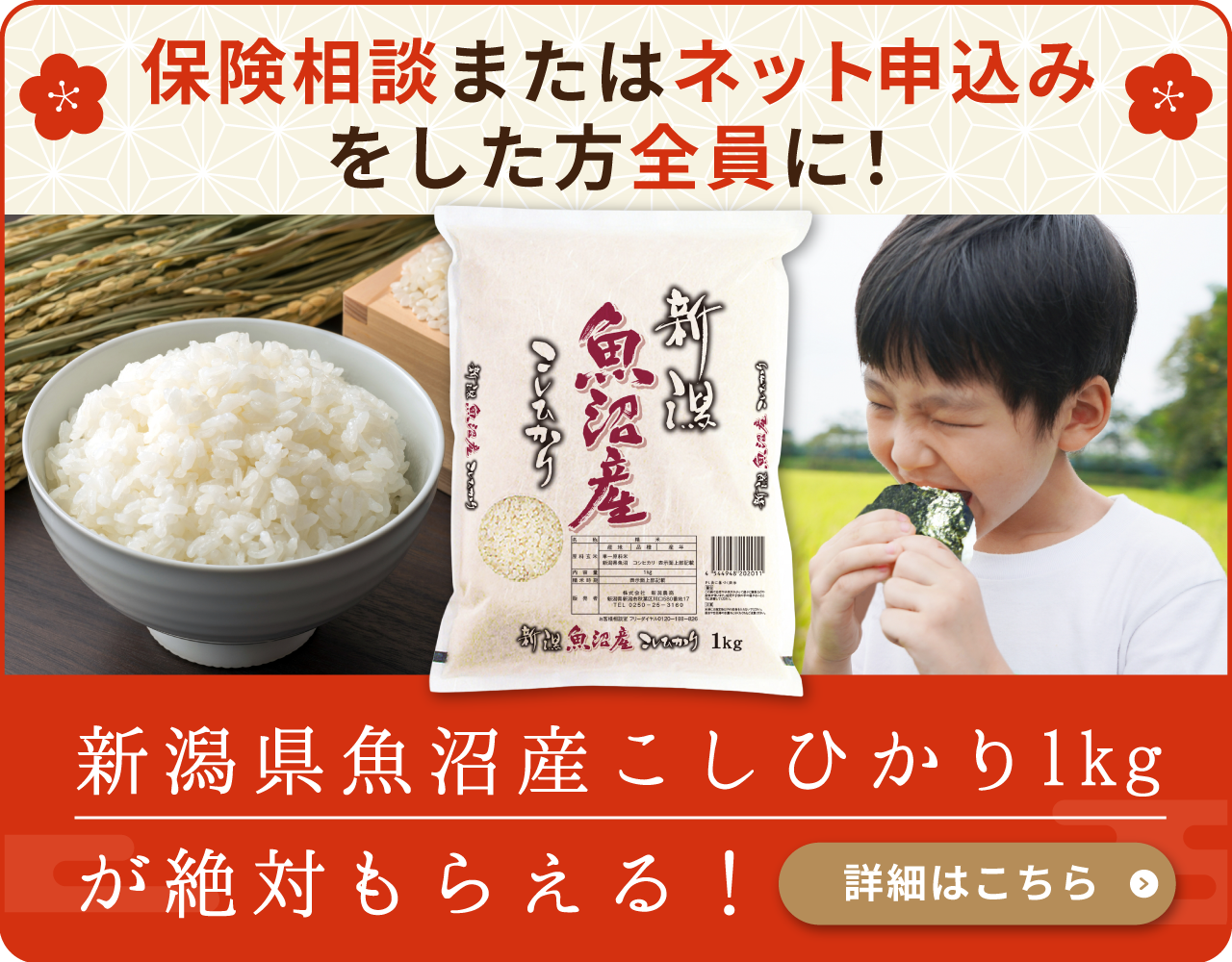 保険相談またはネット申し込みをした方全員にお米プレゼント