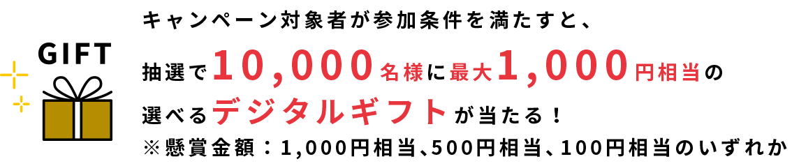キャンペーン概要