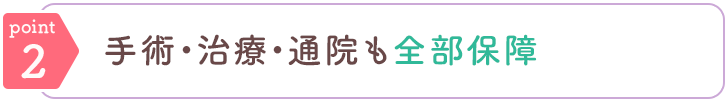 point2 手術・治療・通院も全部保障