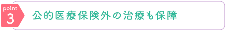 point3 公的医療保険外の治療も保障