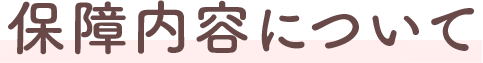 保障内容について