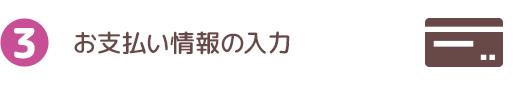 お支払い情報の入力