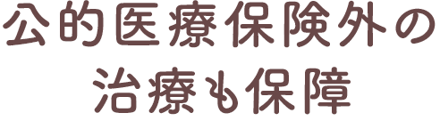 公的医療保険外の治療も保障