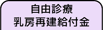 自由診療乳房再建給付金