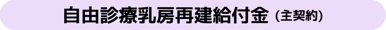 自由診療乳房再建給付金