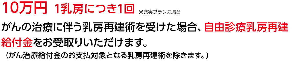 10万円 1乳房につき1回
