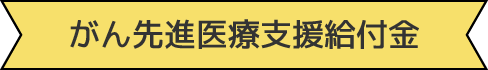 がん先進医療支援給付金