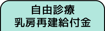 自由診療乳房再建給付金