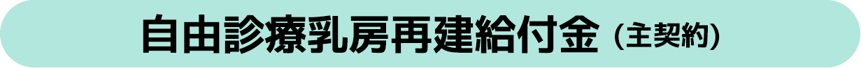 自由診療乳房再建給付金