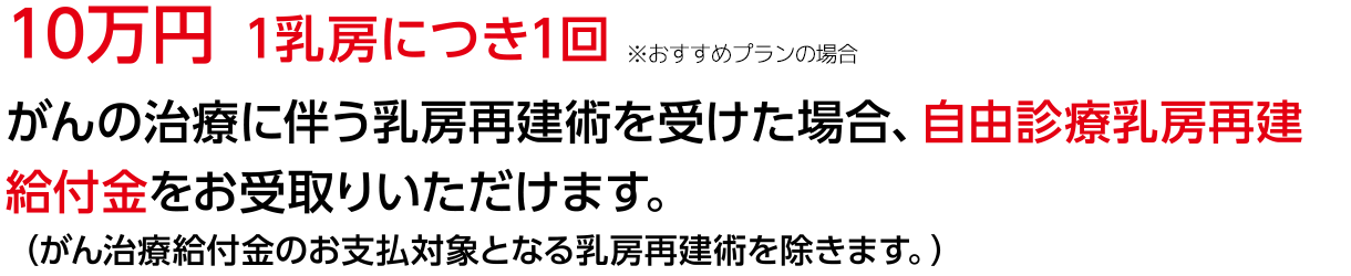 10万円 1乳房につき1回