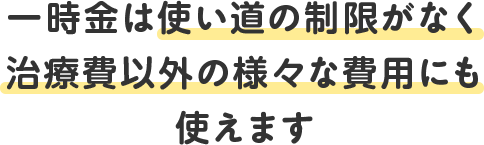 一時金は使い道の制限がなく治療費以外の様々な費用にも使えます
