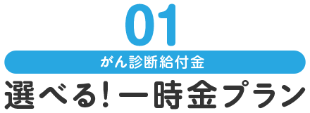 01 がん診断給付金 選べる！一時金プラン!