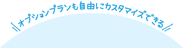 オプションプランも自由にカスタマイズできる