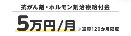 抗がん剤・ホルモン剤治療給付金 5万円/月 ※通算120か月限度