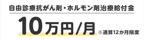 自由診療抗がん剤・ホルモン剤治療給付金 10万円/月 ※通算12か月限度